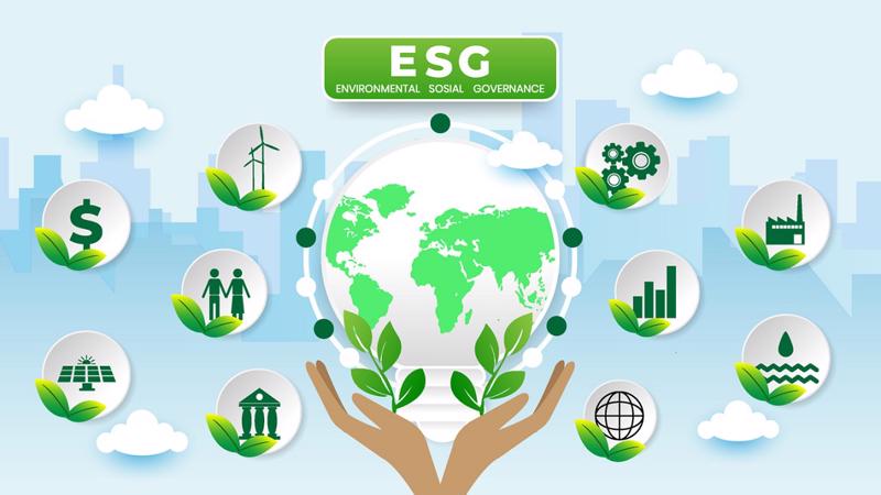 Thực Trạng Triển Khai ESG trong Ngành Xây Dựng Tại Việt Nam