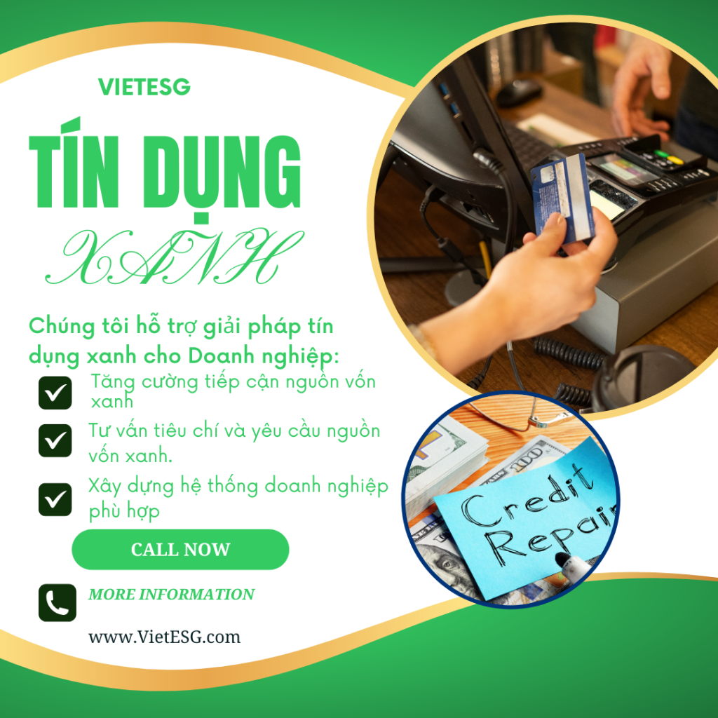 THỊ TRƯỜNG TÍN DỤNG XANH TẠI VIỆT NAM ĐANG DIỄN RA NHƯ THẾ NÀO ?