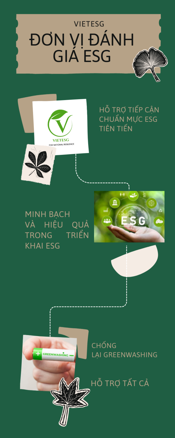 VIETESG – TỔ CHỨC ĐÁNH GIÁ ESG TIÊN PHONG TẠI VIỆT NAM