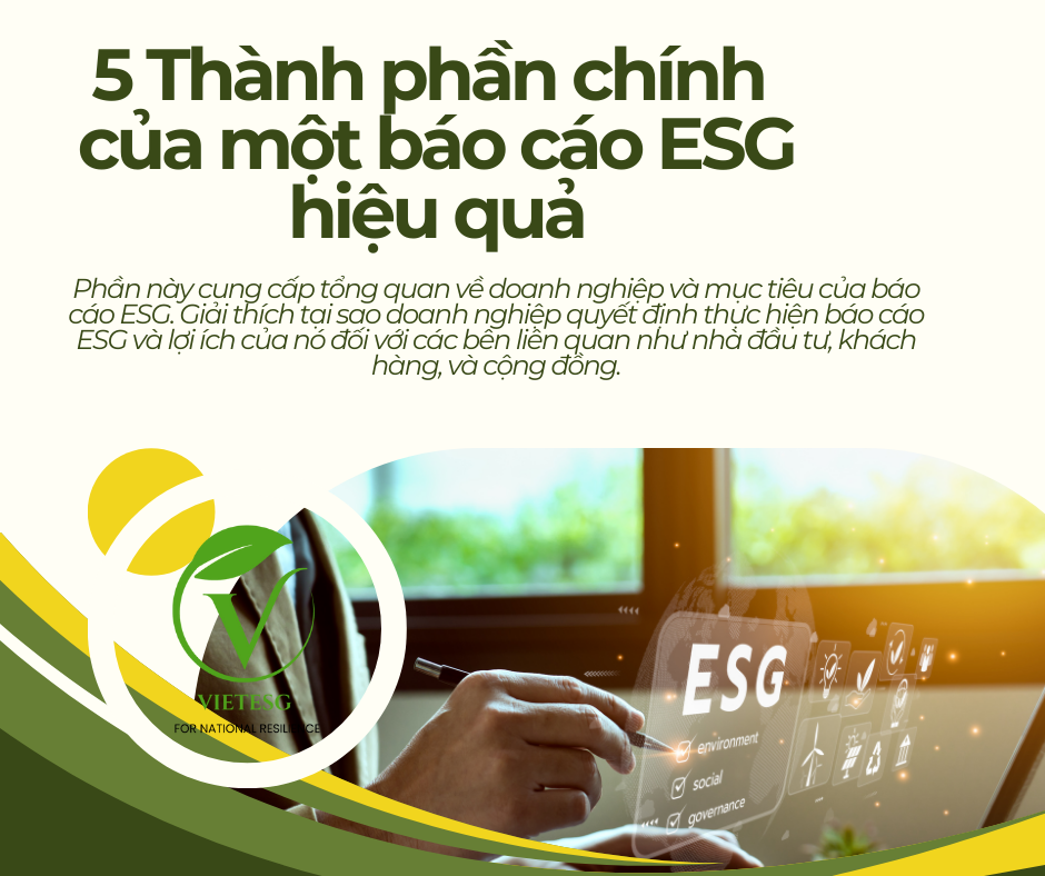 5 Thành phần chính của một báo cáo ESG hiệu quả