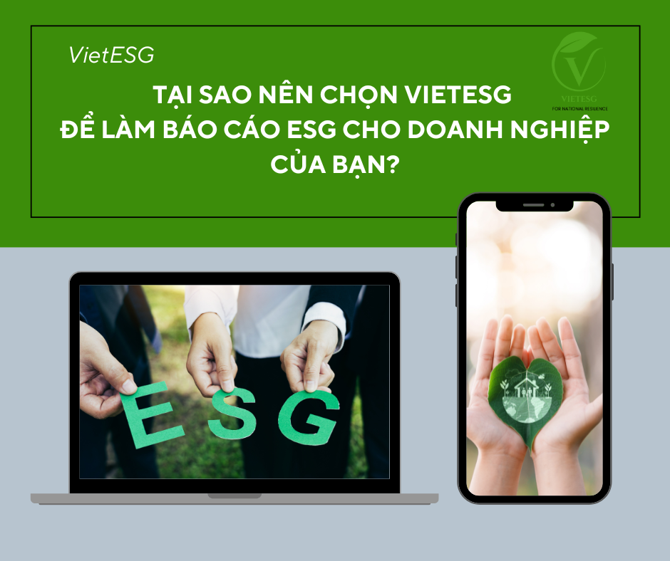 Tại sao nên chọn VietESG để làm báo cáo ESG cho doanh nghiệp của bạn?