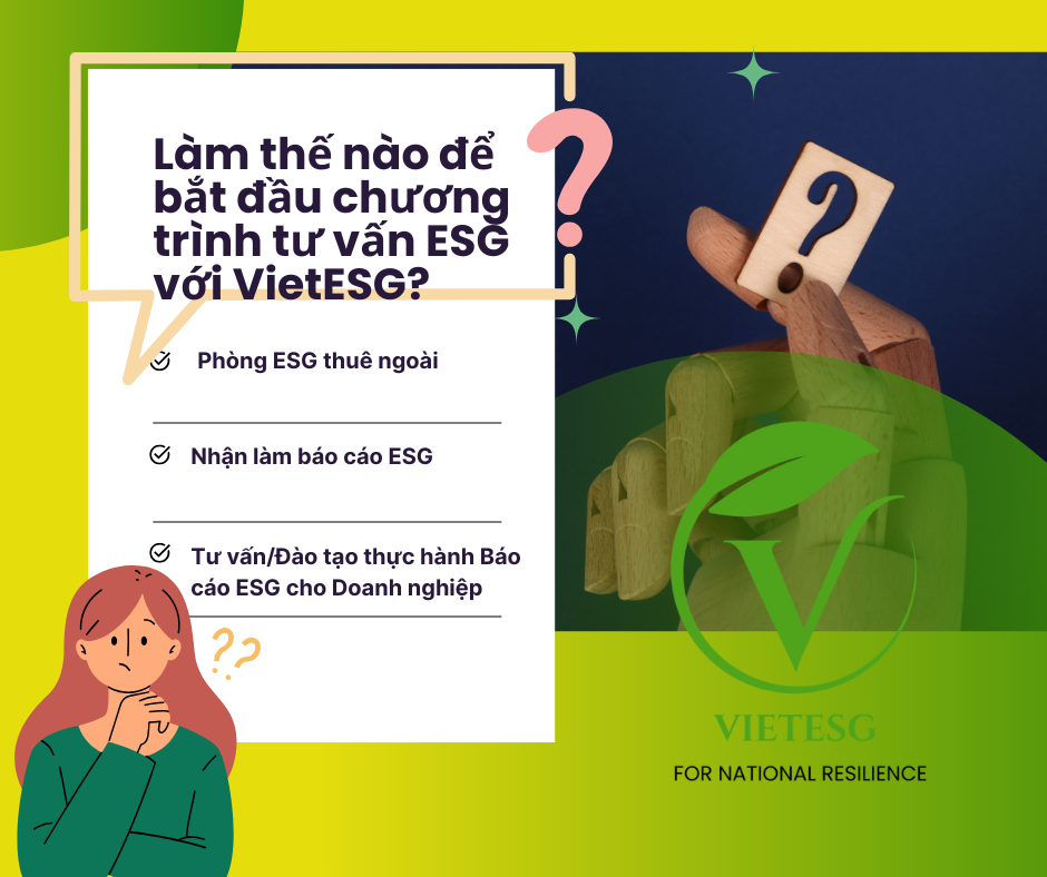 Làm thế nào bắt đầu chương trình tư vấn ESG với VietESG?