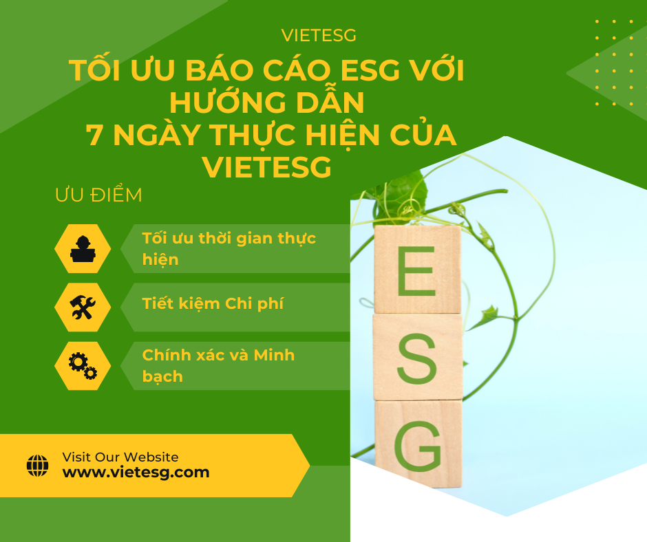Tối Ưu Báo Cáo ESG với Dịch Vụ Hướng Dẫn Từ VietESG
