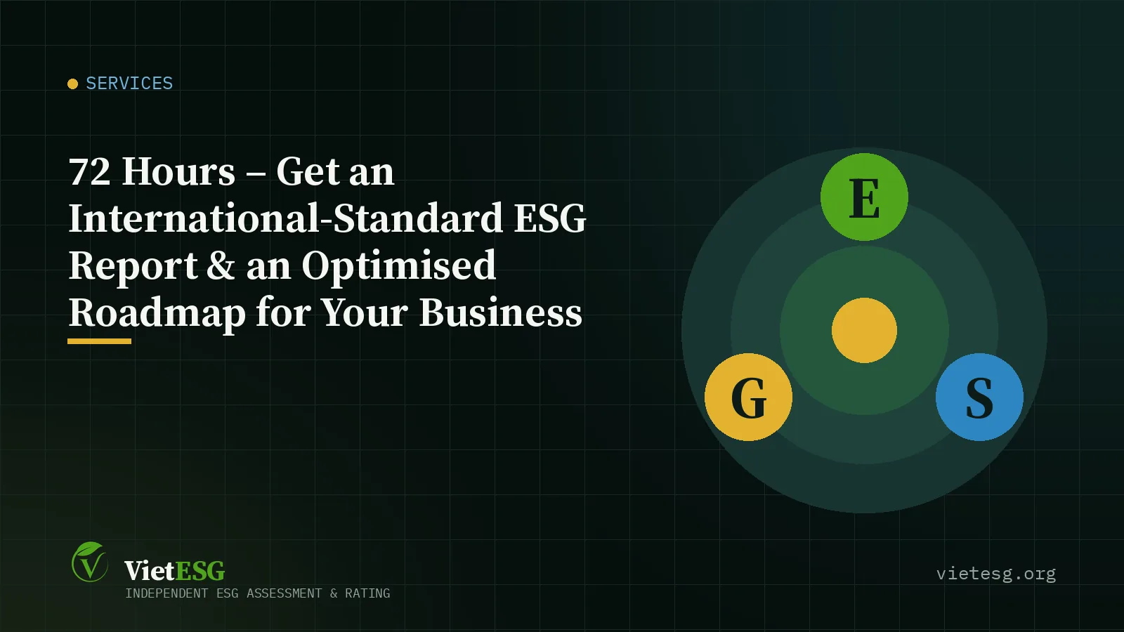 72 Hours – Get an International-Standard ESG Report & an Optimised Roadmap for Your Business