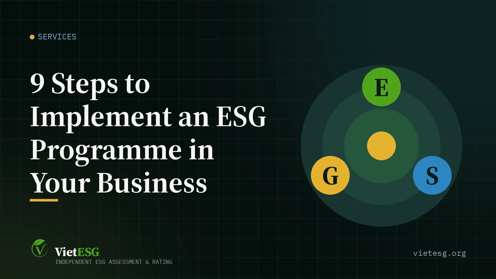 9 Steps to Implement an ESG Programme in Your Business