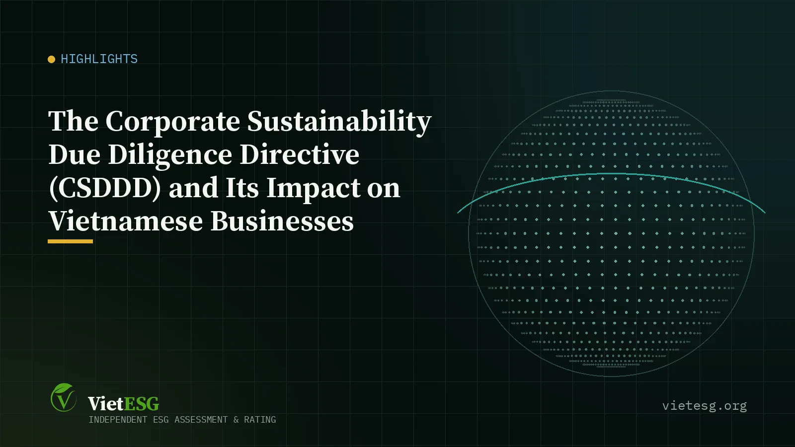 The Corporate Sustainability Due Diligence Directive (CSDDD) and Its Impact on Vietnamese Businesses
