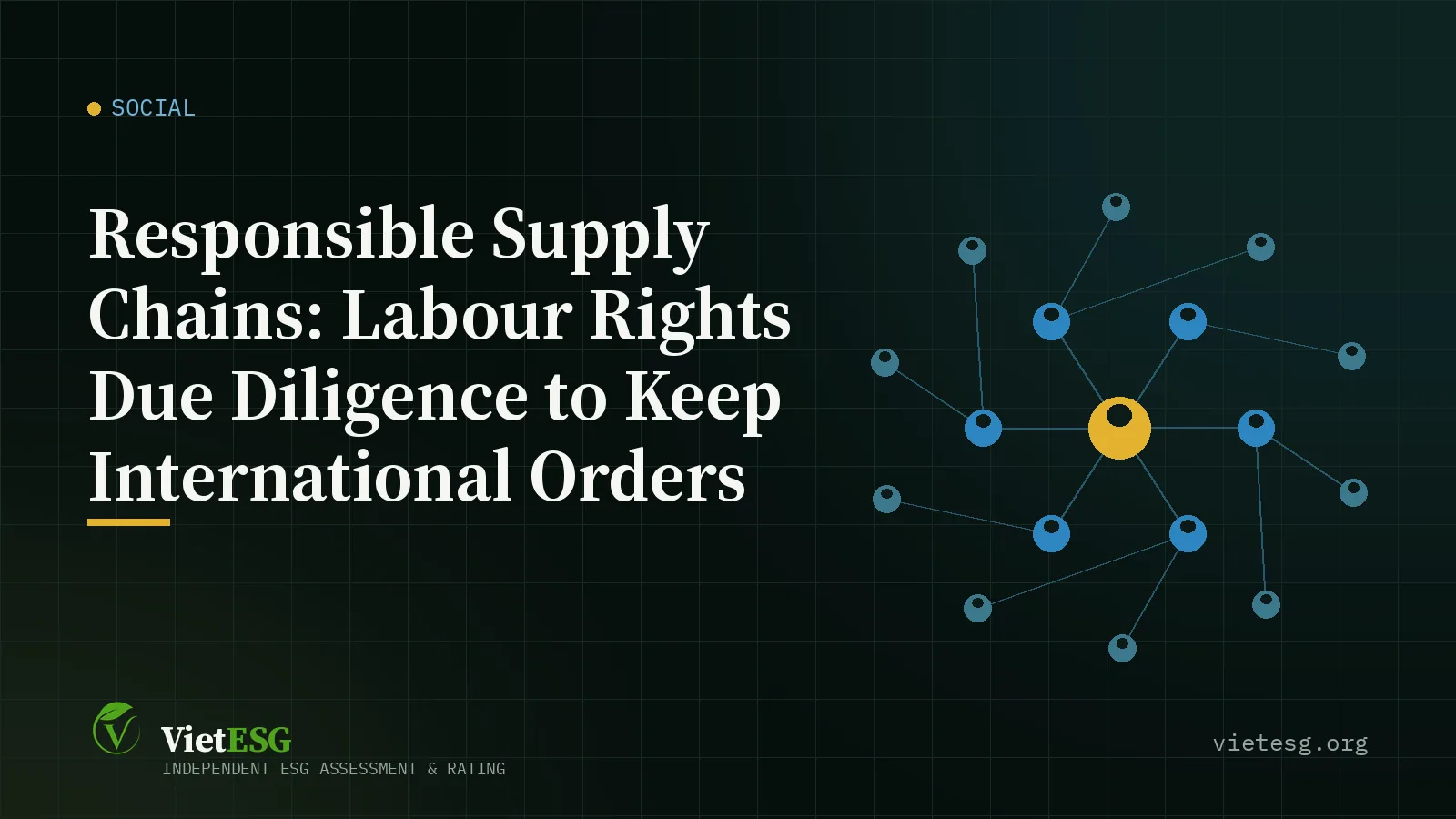 Responsible Supply Chains: Labour Rights Due Diligence to Keep International Orders