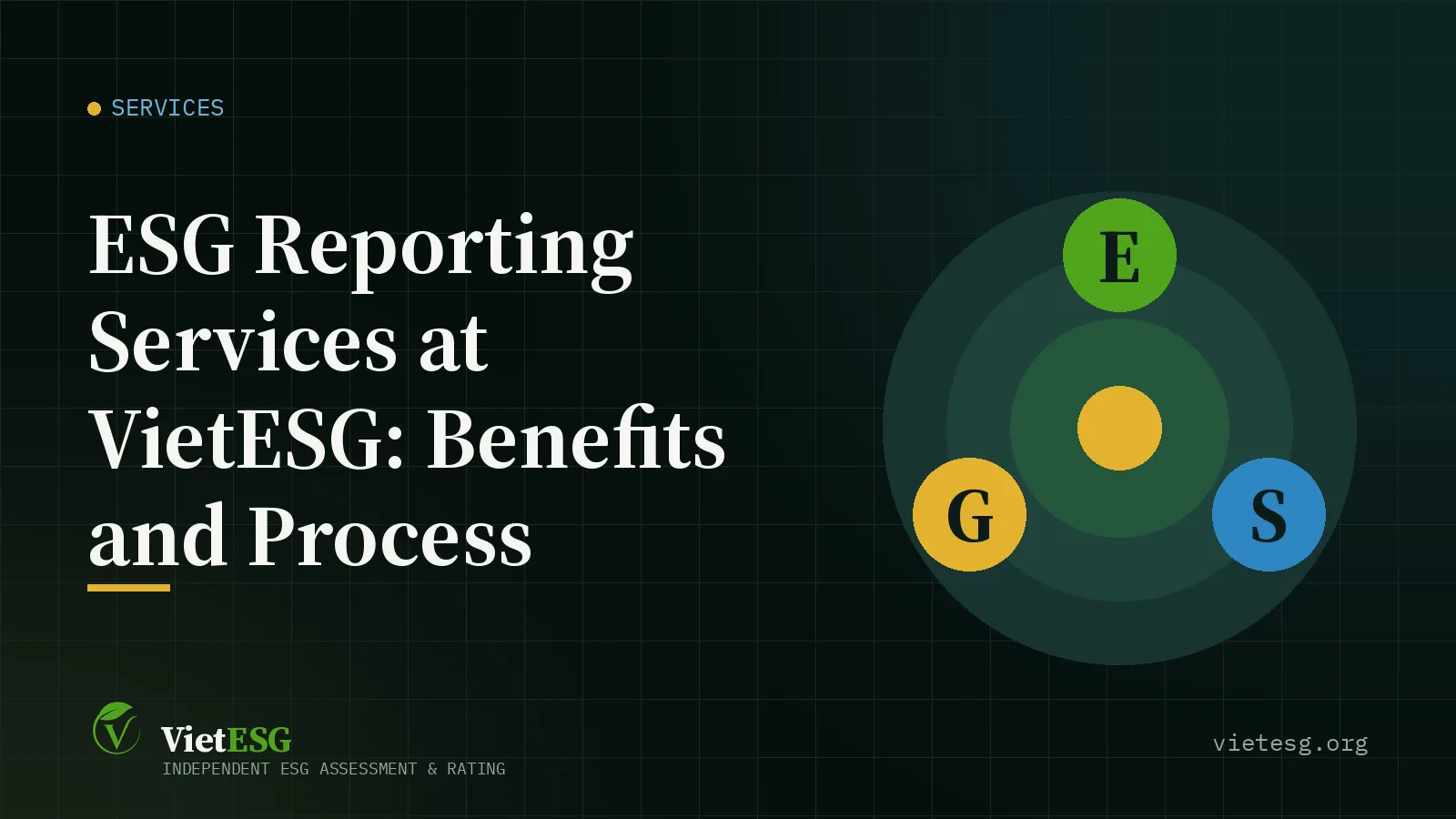 ESG Reporting Services at VietESG: Benefits and Process