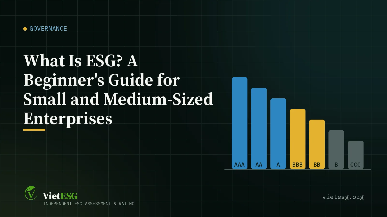 What Is ESG? A Beginner's Guide for Small and Medium-Sized Enterprises