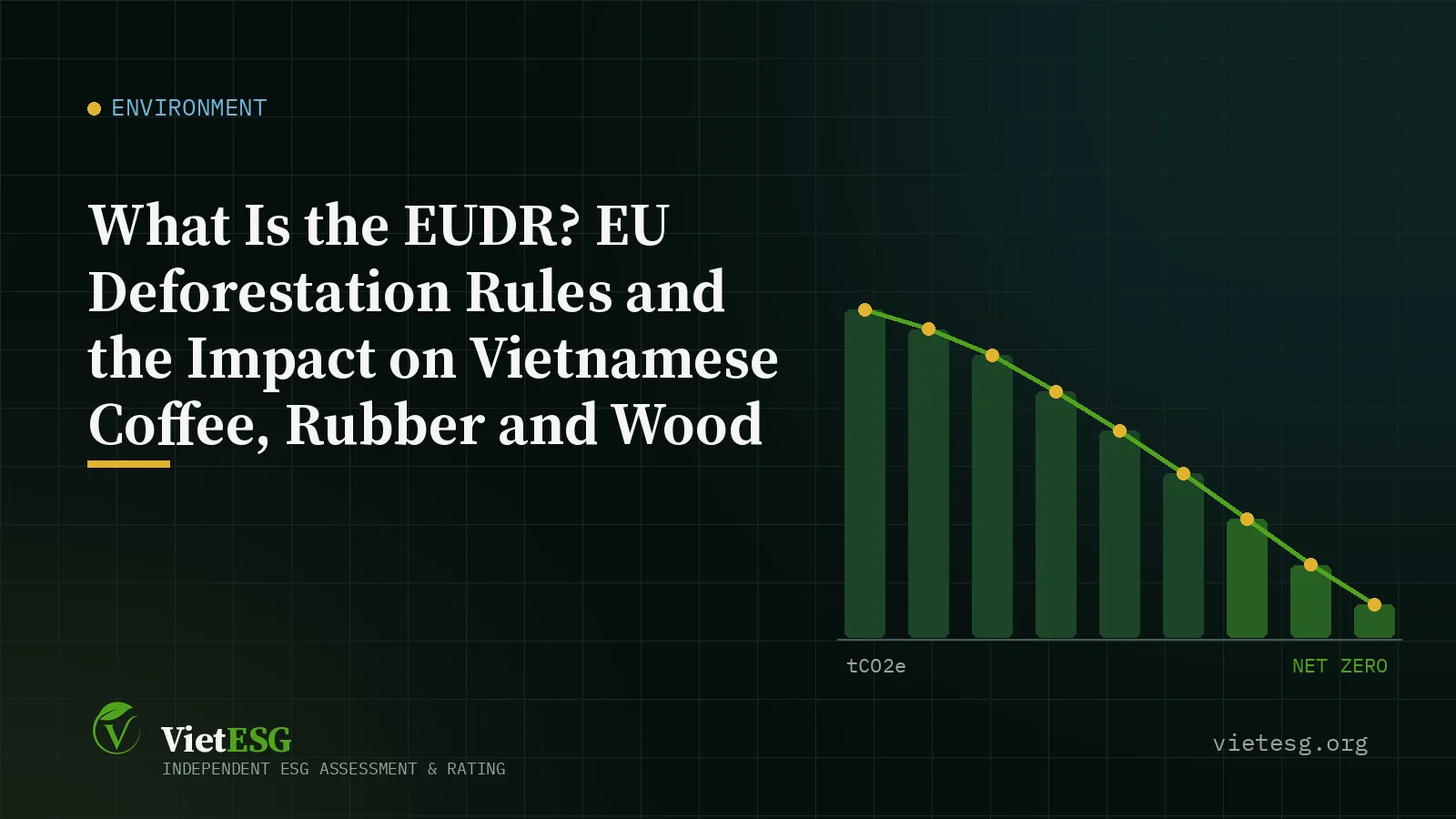 What Is the EUDR? EU Deforestation Rules and the Impact on Vietnamese Coffee, Rubber and Wood
