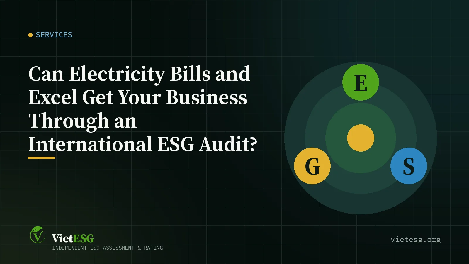 CAN ELECTRICITY BILLS AND EXCEL GET YOUR BUSINESS THROUGH AN INTERNATIONAL ESG AUDIT?
