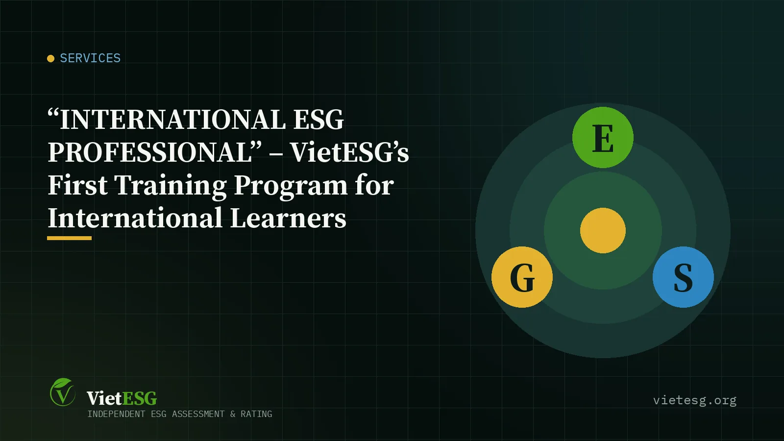 “INTERNATIONAL ESG PROFESSIONAL” – VietESG’s First Training Program for International Learners