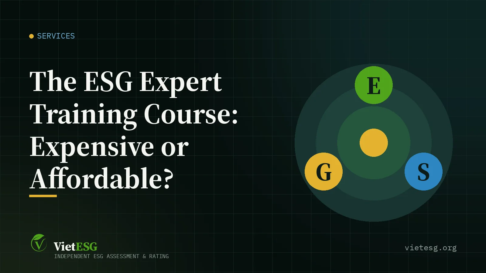 The ESG Expert Training Course: Expensive or Affordable?