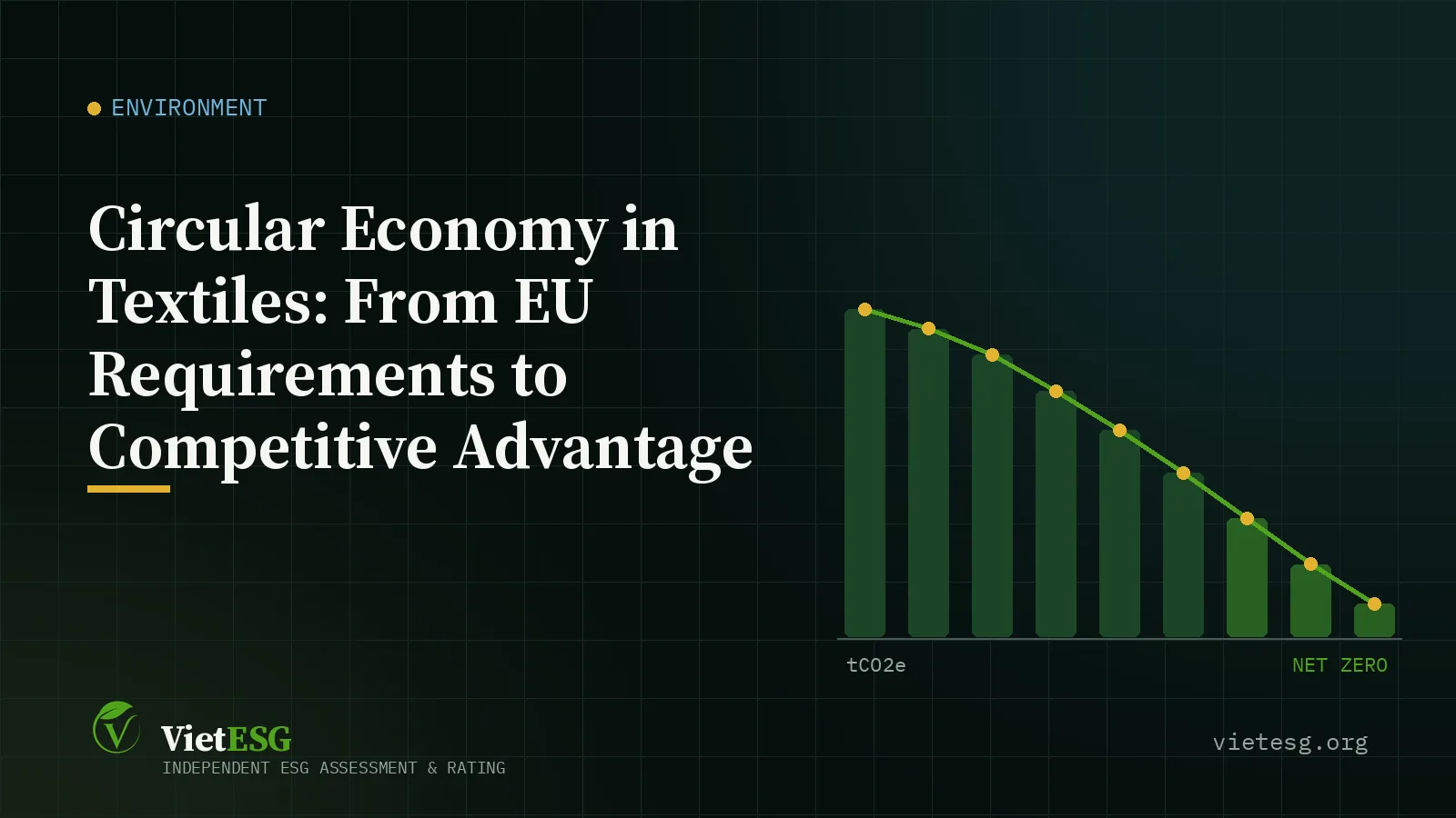 Circular Economy in Textiles: From EU Requirements to Competitive Advantage