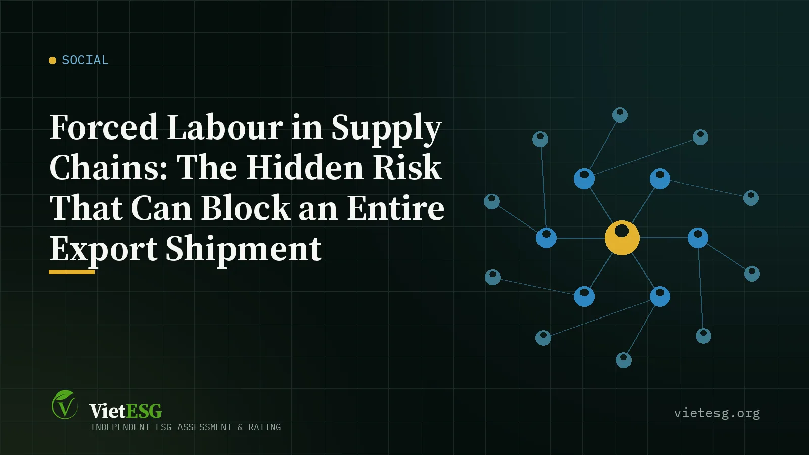 Forced Labour in Supply Chains: The Hidden Risk That Can Block an Entire Export Shipment