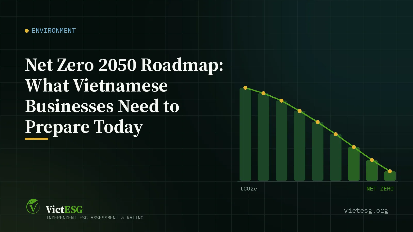 Net Zero 2050 Roadmap: What Vietnamese Businesses Need to Prepare Today