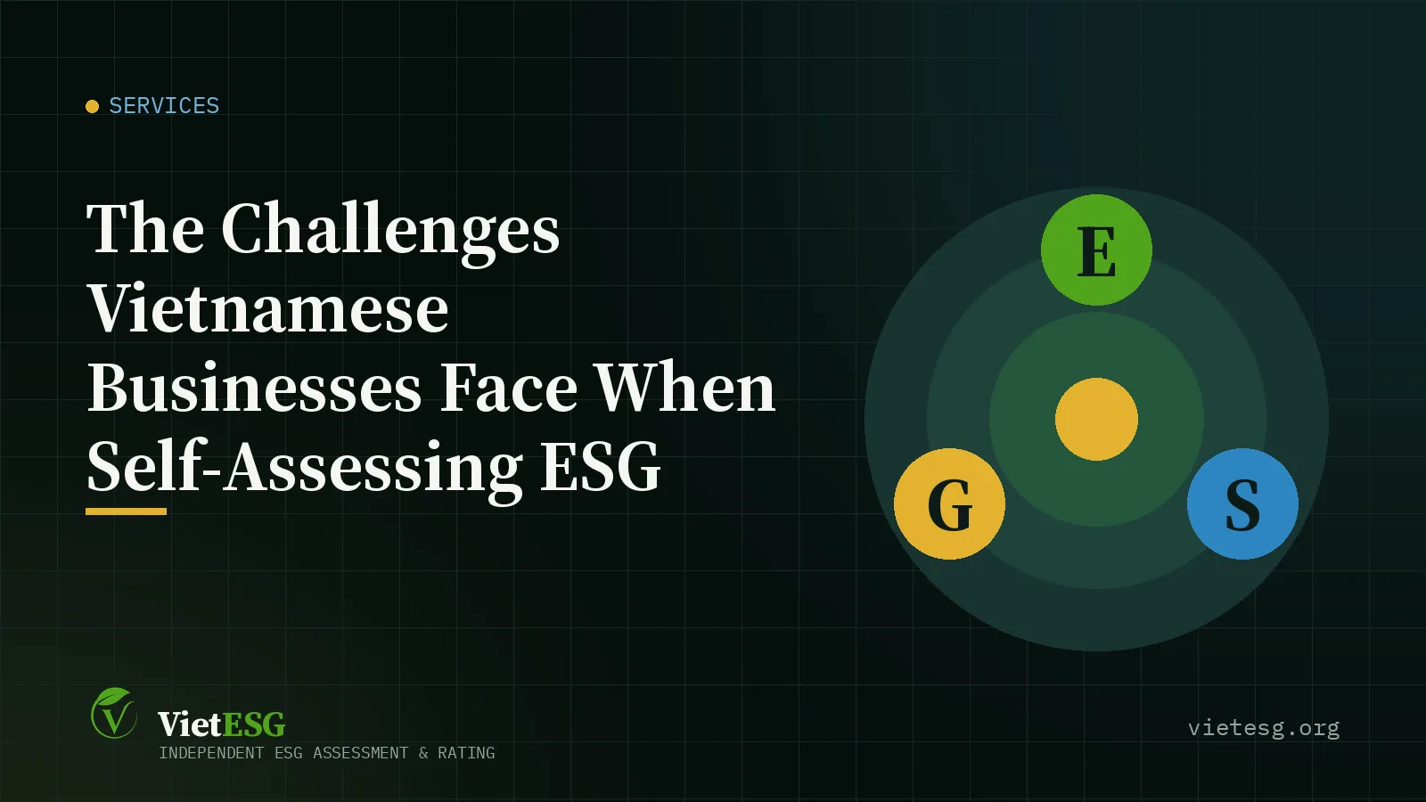 π§© THE CHALLENGES VIETNAMESE BUSINESSES FACE WHEN SELF-ASSESSING ESG