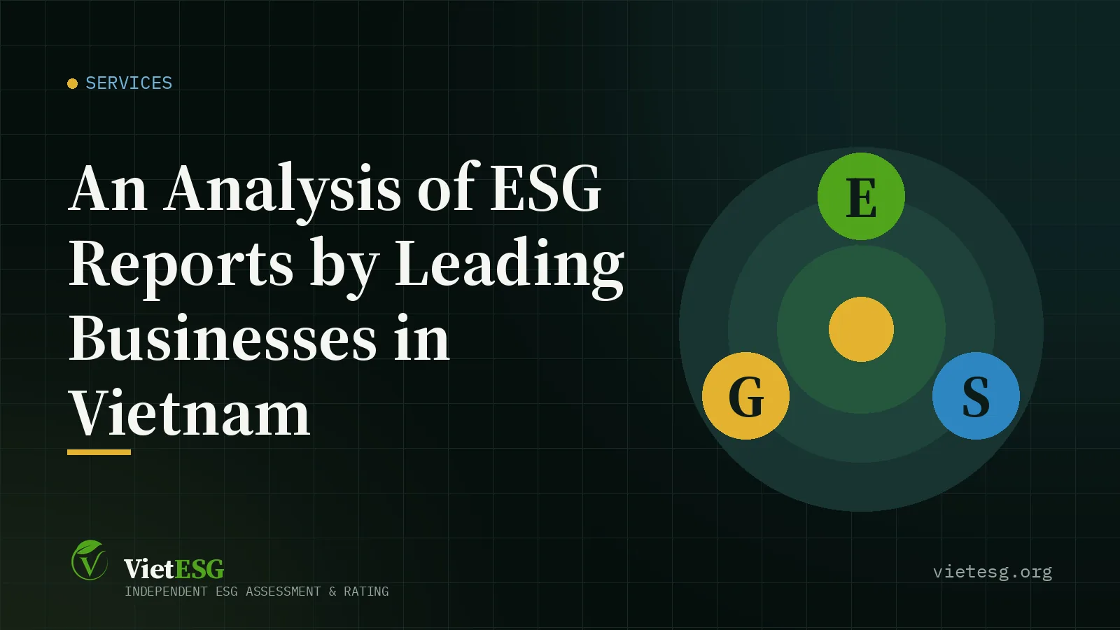 An Analysis of ESG Reports by Leading Businesses in Vietnam