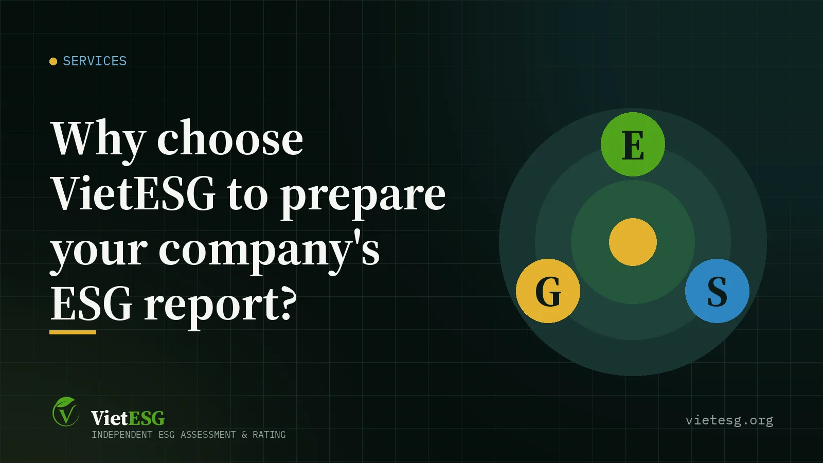 Why choose VietESG to prepare your company's ESG report?