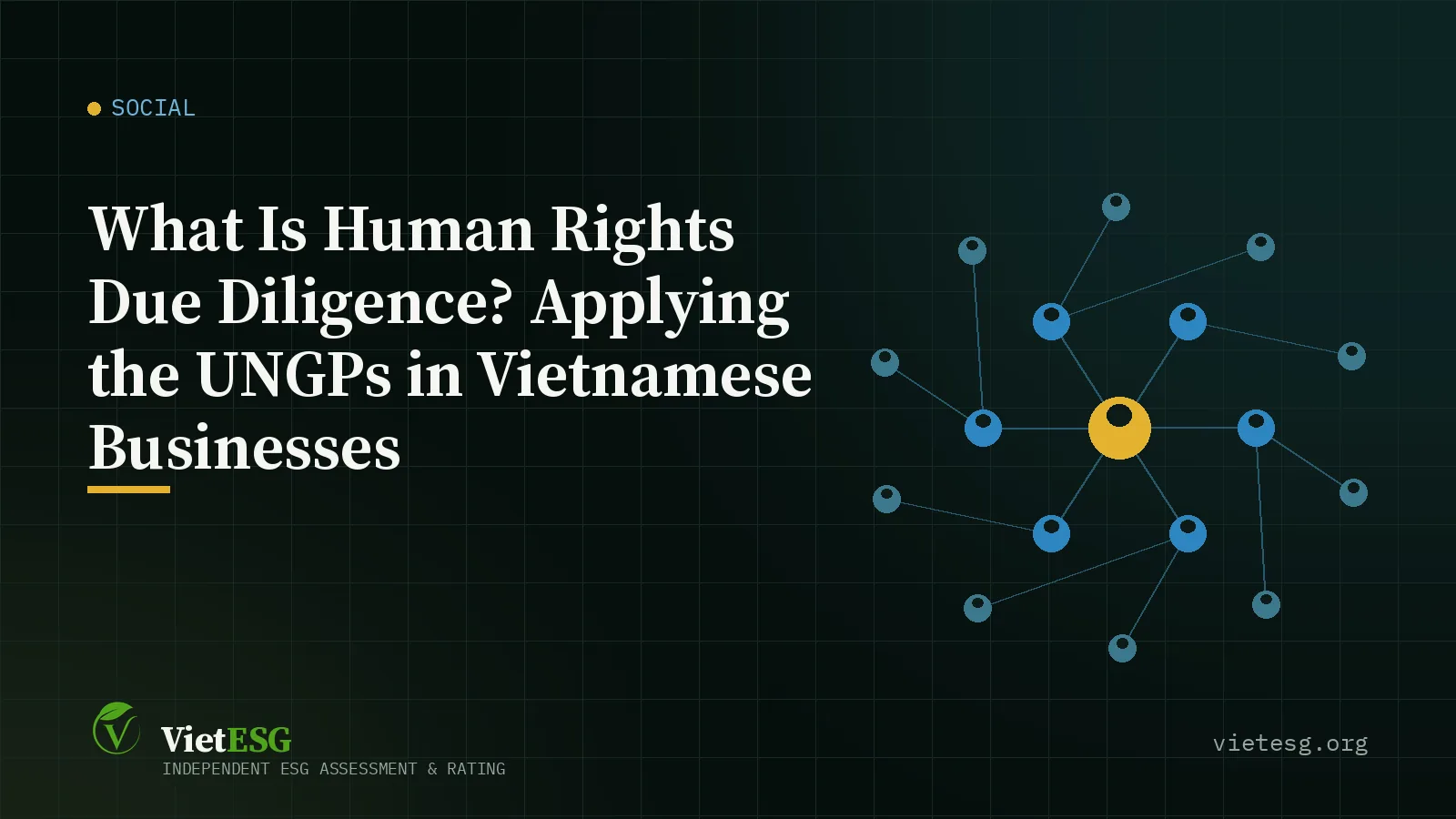 What Is Human Rights Due Diligence? Applying the UNGPs in Vietnamese Businesses