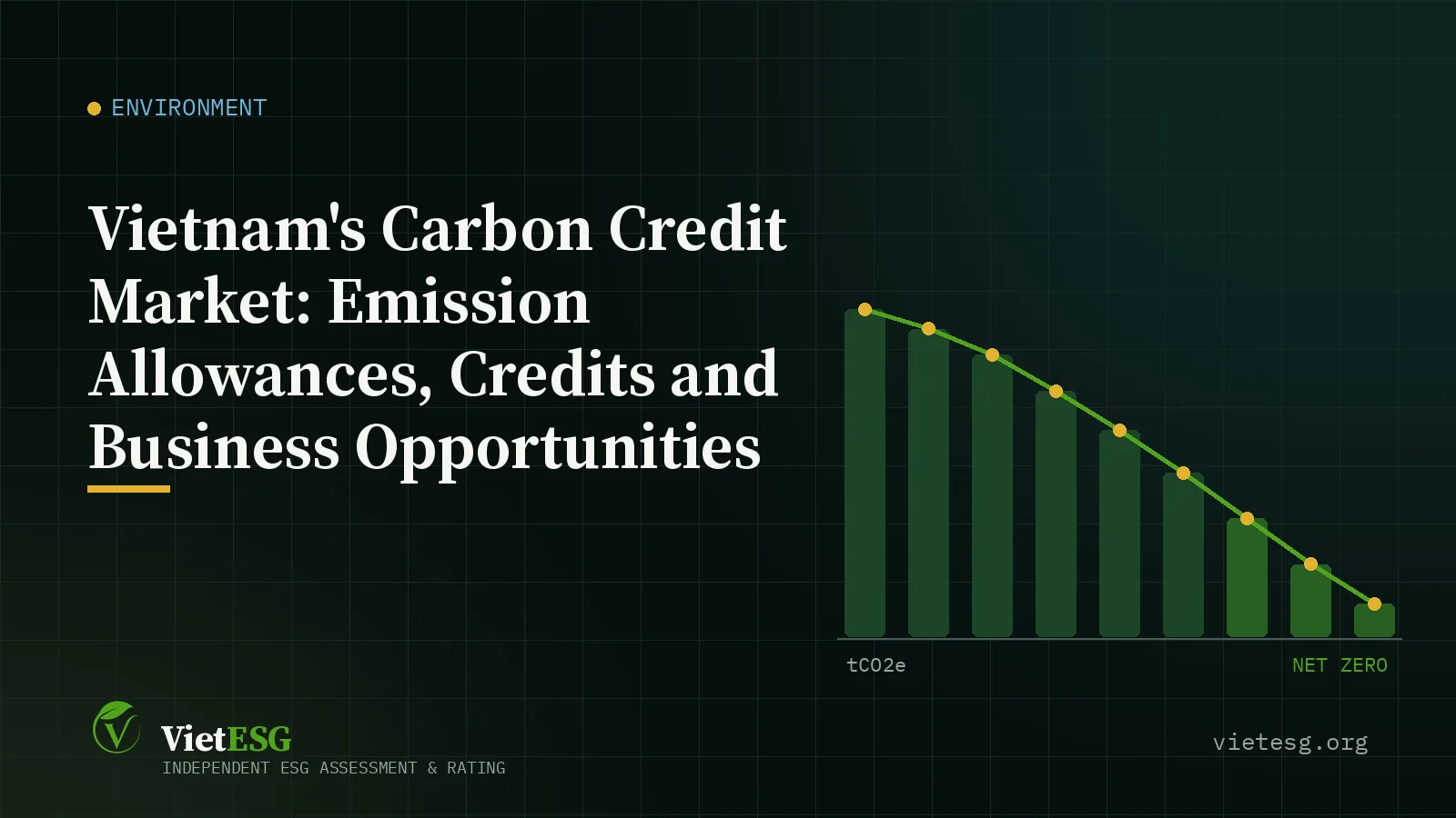 Vietnam's Carbon Credit Market: Emission Allowances, Credits and Business Opportunities