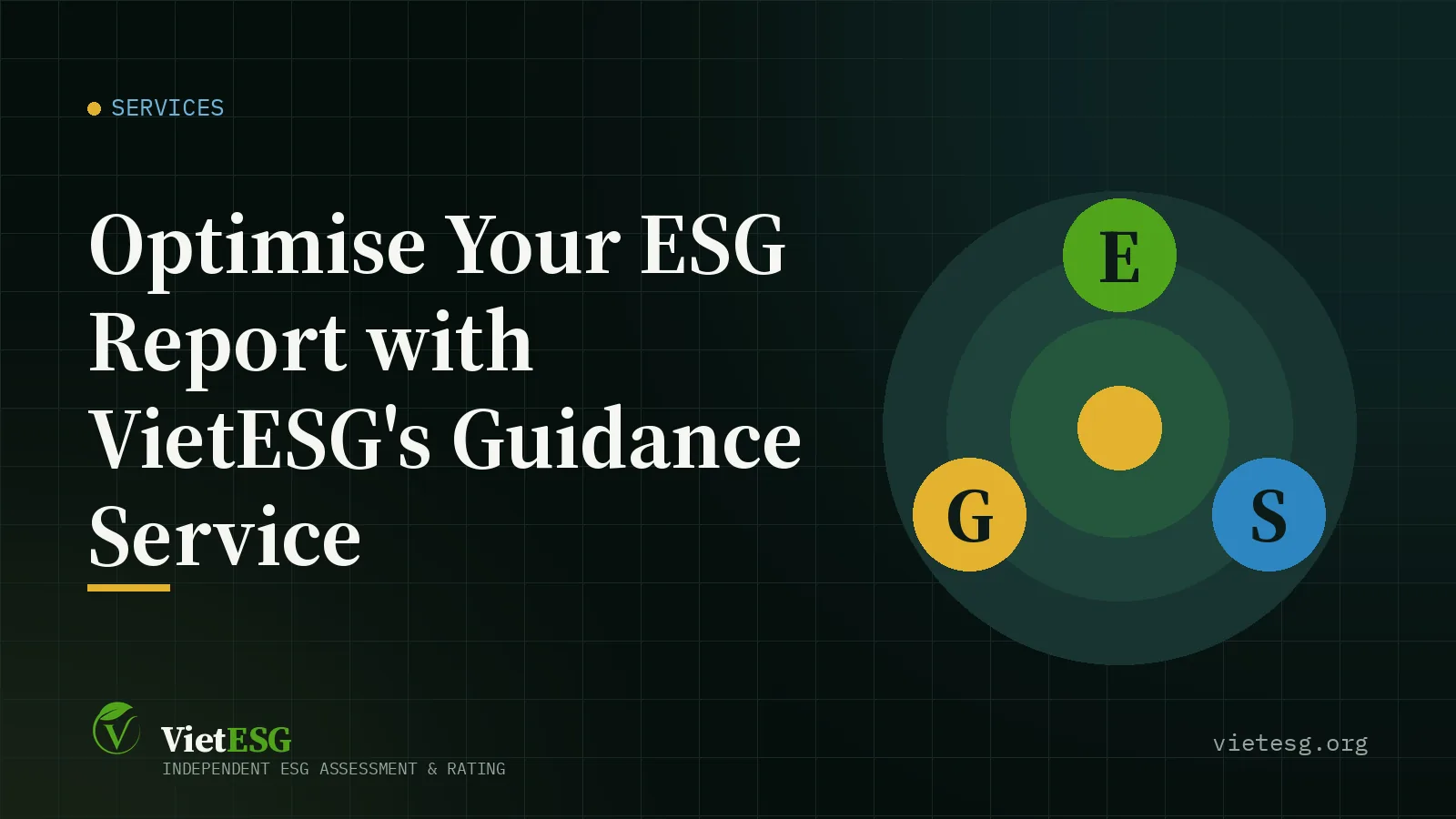 Optimise Your ESG Report with VietESG's Guidance Service