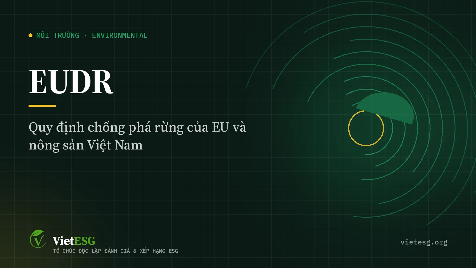 EUDR là gì? Quy định chống phá rừng của EU và tác động tới cà phê, cao su, gỗ Việt Nam