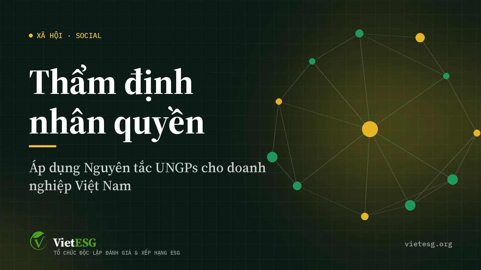 Thẩm định nhân quyền là gì? Áp dụng Nguyên tắc UNGPs cho doanh nghiệp Việt Nam