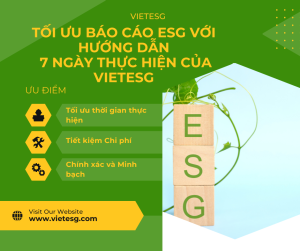 Tối Ưu Báo Cáo ESG với Dịch Vụ Hướng Dẫn Từ VietESG