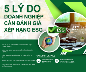 5 LÝ DO DOANH NGHIỆP CẦN VÀ NÊN ĐÁNH GIÁ VÀ XẾP HẠNG ESG