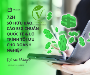 72 Giờ – Sở Hữu Báo Cáo ESG Chuẩn Quốc Tế & Lộ Trình Tối Ưu Cho Doanh Nghiệp