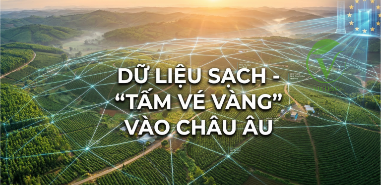 EUDR VÀ NHỮNG “BẢN ÁN” VÔ HÌNH: DOANH NGHIỆP VIỆT ĐANG Ở ĐÂU TRÊN BẢN ĐỒ TUÂN THỦ?