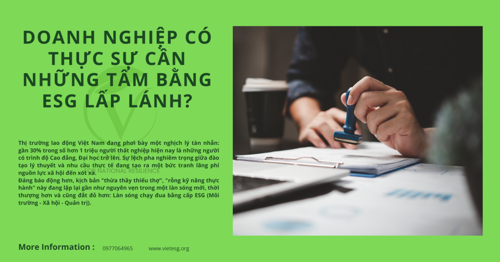 DOANH NGHIỆP CÓ THỰC SỰ CẦN NHỮNG TẤM BẰNG ESG LẤP LÁNH?