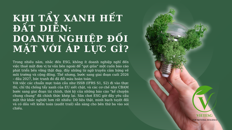 KHI TẨY XANH HẾT ĐẤT DIỄN: DOANH NGHIỆP ĐỐI MẶT VỚI ÁP LỰC GÌ?